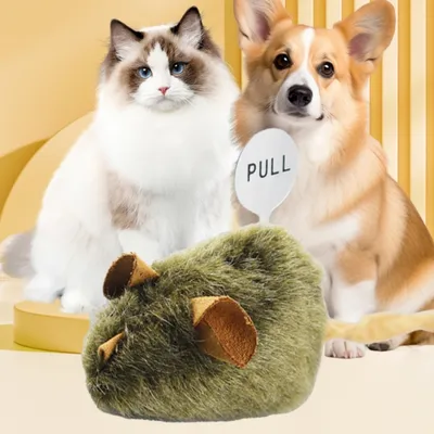 IntiMeg Lot de 2 souris en peluche pour chat