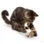 IntiMeg Lot de 2 souris en peluche pour chat