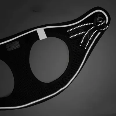 IntiMeg Harnais confortable et laisse réfléchissante pour chat