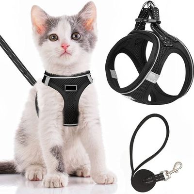 IntiMeg Harnais confortable et laisse réfléchissante pour chat XS：Cou 21-23cm, Torse 25-29cm