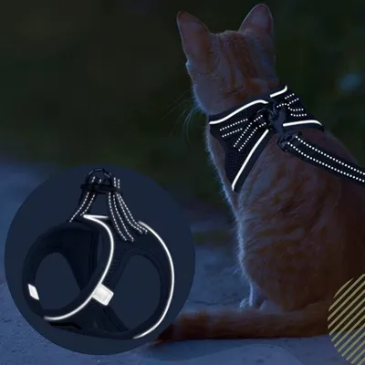 IntiMeg Harnais confortable et laisse réfléchissante pour chat