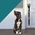 IntiMeg Sonnette de dressage pour chiens
