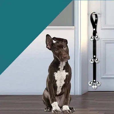 IntiMeg Sonnette de dressage pour chiens