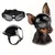 IntiMeg Ensemble de lunettes et casque pour chien IntiMeg Ensemble de lunettes et casque pour chien
