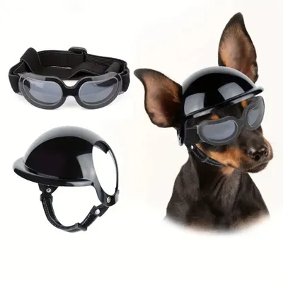 IntiMeg Ensemble de lunettes et casque pour chien IntiMeg Ensemble de lunettes et casque pour chien