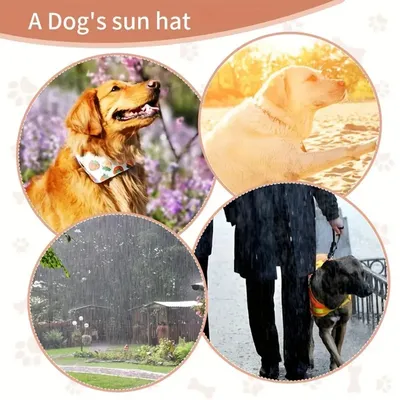 IntiMeg Verstellbarer Sonnenhut für Hunde IntiMeg Verstellbarer Sonnenhut für Hunde