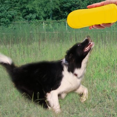 IntiMeg Disque volant pour chien