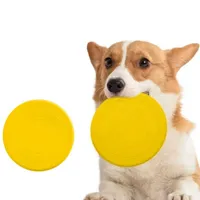 IntiMeg Disque volant pour chien