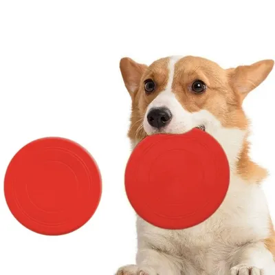 IntiMeg Frisbee en caoutchouc pour chien