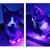 IntiMeg Lampe de détection d'urine d'animaux