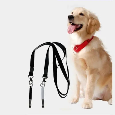 IntiMeg Sifflet pour chien entraînement