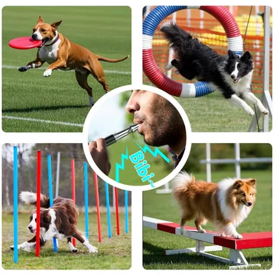 IntiMeg Sifflet pour chien entraînement