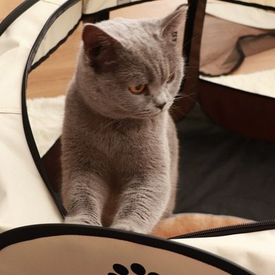 IntiMeg Jaula grande y plegable para gatos