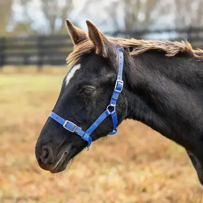 IntiMeg Harnais avec rênes souples et réglables