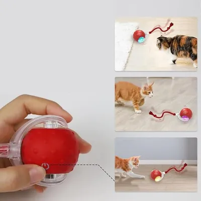 IntiMeg Balle interactive pour chat V2