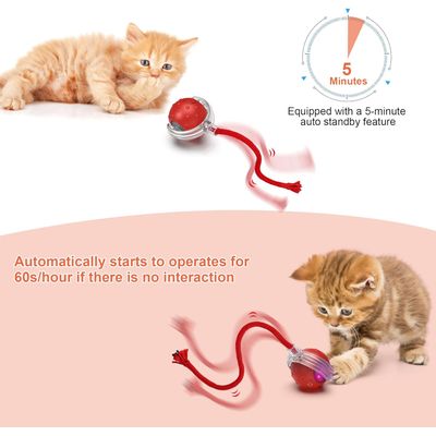 IntiMeg Balle interactive pour chat V2