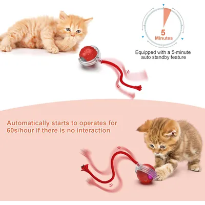IntiMeg Balle interactive pour chat V2