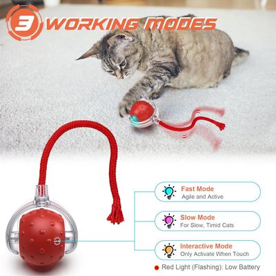 IntiMeg Balle interactive pour chat V2