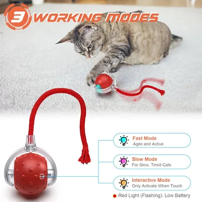 IntiMeg Balle interactive pour chat V2