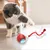 IntiMeg Balle interactive pour chat V2