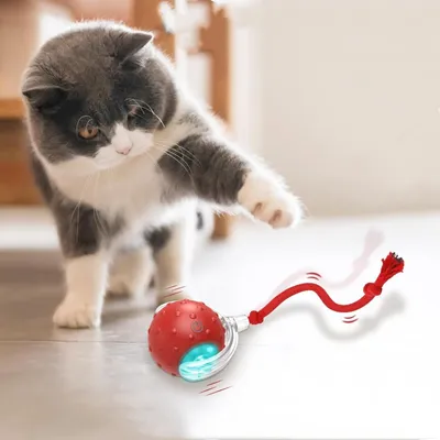 IntiMeg Balle interactive pour chat V2