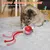 IntiMeg Balle interactive pour chat V2