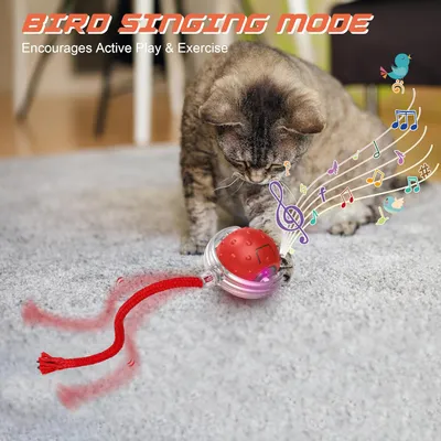 IntiMeg Balle interactive pour chat V2