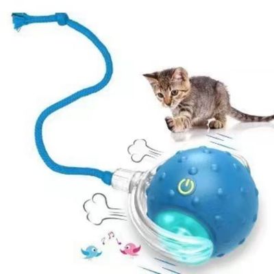 IntiMeg Balle interactive pour chat V2 Bleu