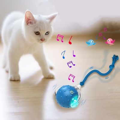 IntiMeg Interaktiver Katzenball, blau