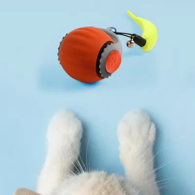 IntiMeg  Jouet pour chat Balle automatique pour chat