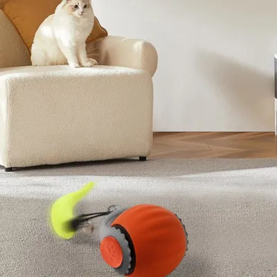 IntiMeg  Jouet pour chat Balle automatique pour chat