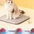 IntiMeg Balle interactive avec corde pour chat