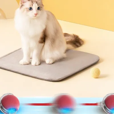 IntiMeg Balle interactive avec corde pour chat