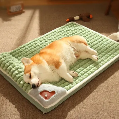 IntiMeg Lit pour chat avec mousse mémoire