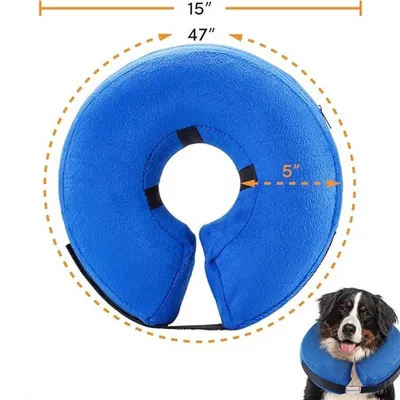 IntiMeg Collier protecteur gonflable pour chien