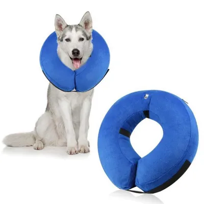 IntiMeg Collier protecteur gonflable pour chien