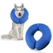 IntiMeg Collier protecteur gonflable pour chien