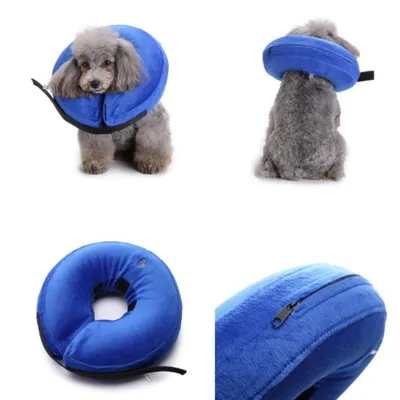 IntiMeg Collier protecteur gonflable pour chien