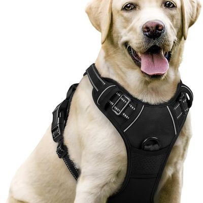 IntiMeg Gilet réfléchissant de sécurité