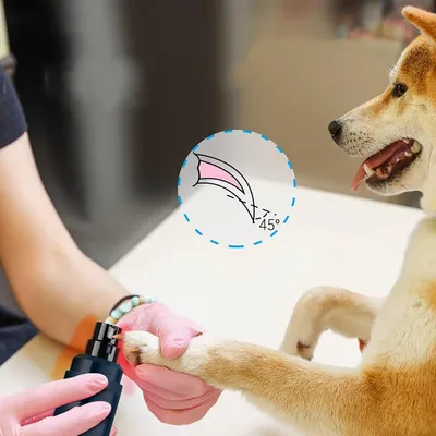 IntiMeg Coupe-ongles électrique pour chien