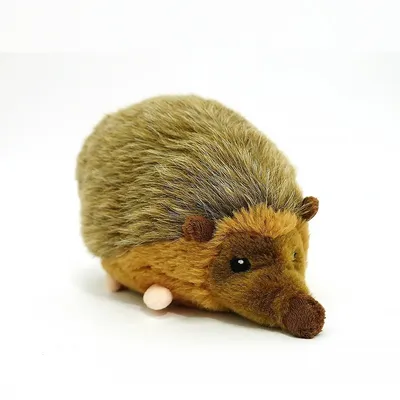 IntiMeg Jouet peluche hérisson pour chien