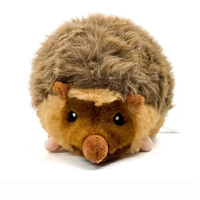 IntiMeg Jouet peluche hérisson pour chien
