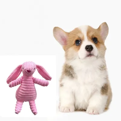 IntiMeg Jouet lapin en peluche sonore pour chien