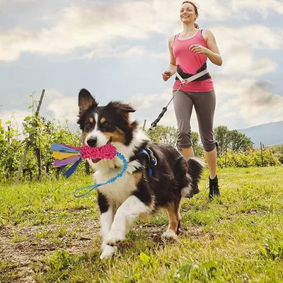 IntiMeg Jouet peluche pour chien