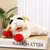 IntiMeg  Peluche mouton pour chien