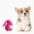 IntiMeg Jouet lapin en peluche sonore pour chien IntiMeg Jouet lapin en peluche sonore pour chien