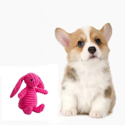 IntiMeg Jouet lapin en peluche sonore pour chien IntiMeg Jouet lapin en peluche sonore pour chien