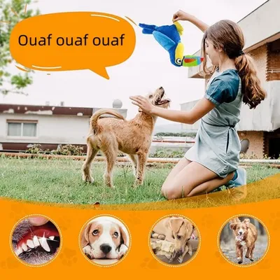 IntiMeg Jouet en peluche pour chien Toucan