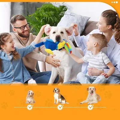 IntiMeg Jouet en peluche pour chien Toucan