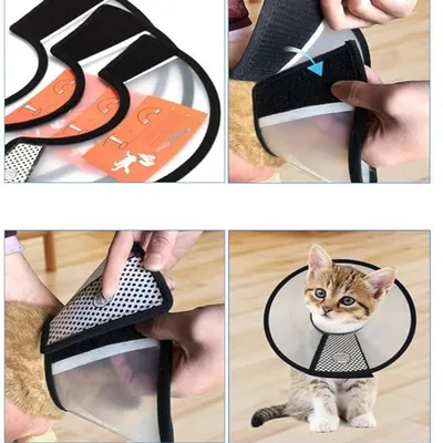 IntiMeg Bouclier de récupération de stérilisation